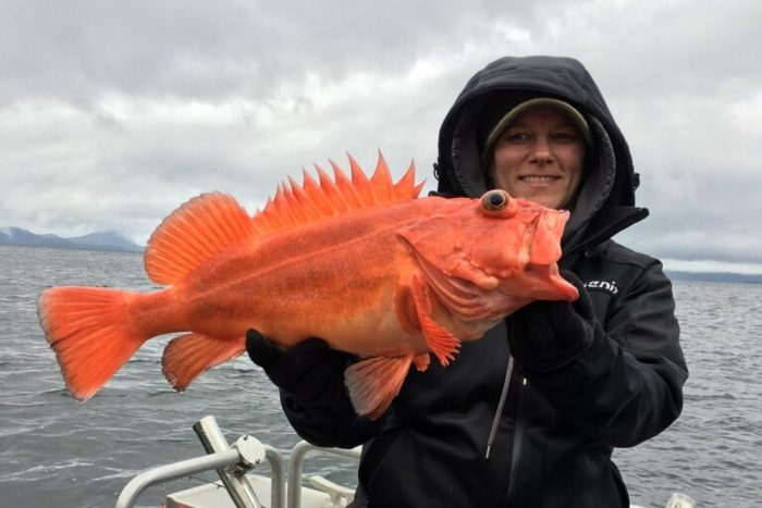 fisherman poses with rockfish caught sport fishing in self-guided rental boat
