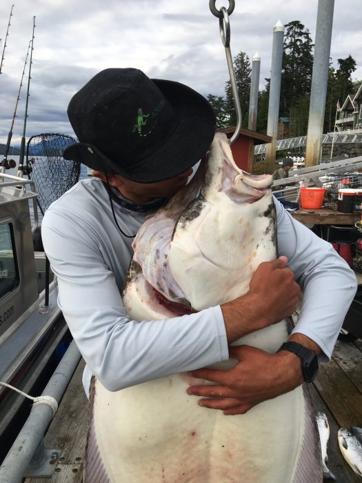 fisherman hugs trophy halibut caught self-guided fishing at fishing lodge in Ketchikan