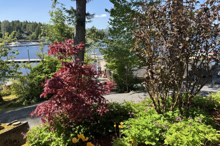 landscaping seen outside rental cabin at fishing lodge in Knudson Cove