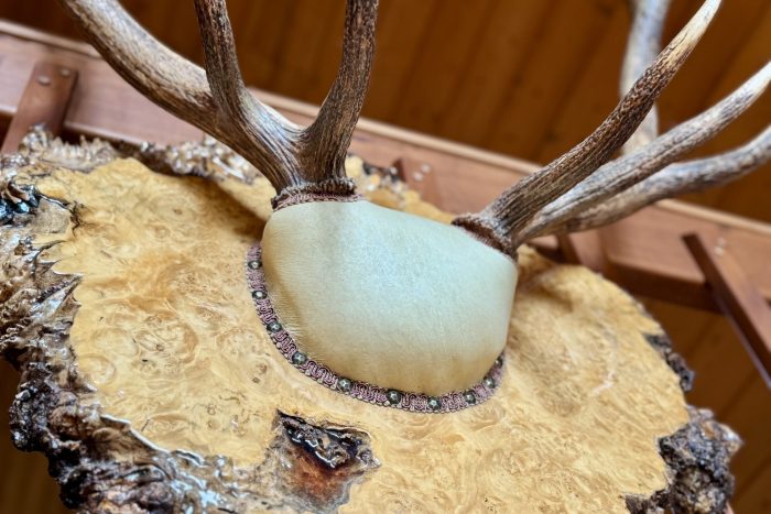 Authentic antler decor inside the cabin of a fishing lodge in Ketchikan Alaska