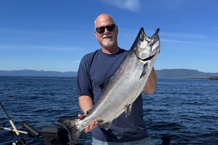 fisherman holds up King salmon (Chinook) caught sport fishing at a fishing lodge in Ketchikan Alaska